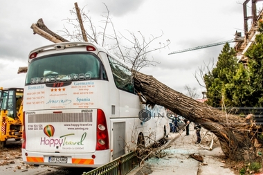 Un copac a căzut pe un autocar parcat în zona Răzoare din Capitală, nicio persoană nefiind rănită. FOTO
