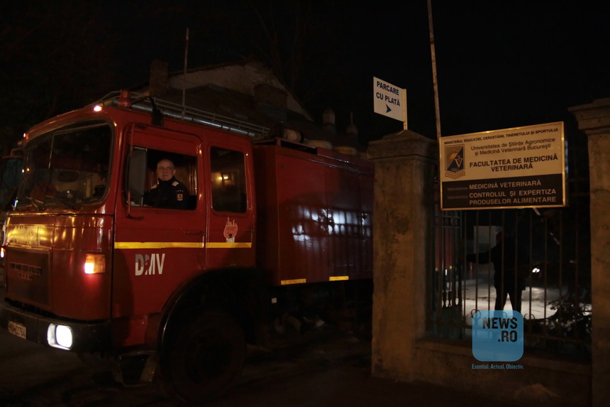 Incendiul de la crematoriul Facultăţii de Medicină Veterinară a fost stins