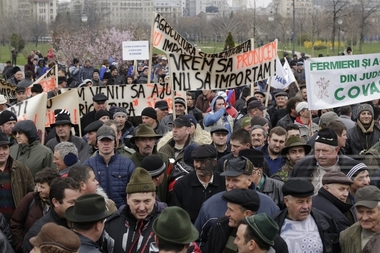 Incidente la protestul de la Palatul Parlamentului, crescătorii de animale au încercat să forţeze intrarea în Parlament. FOTO