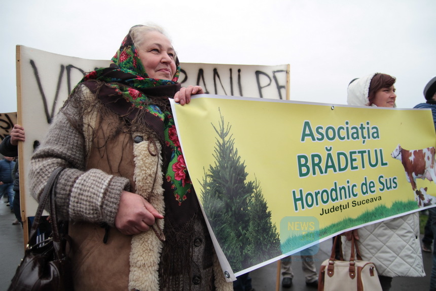 Reprezentanţi ai crescătorilor de animale care protestează la Parlament discută cu deputaţii din Comisia pentru agricultură