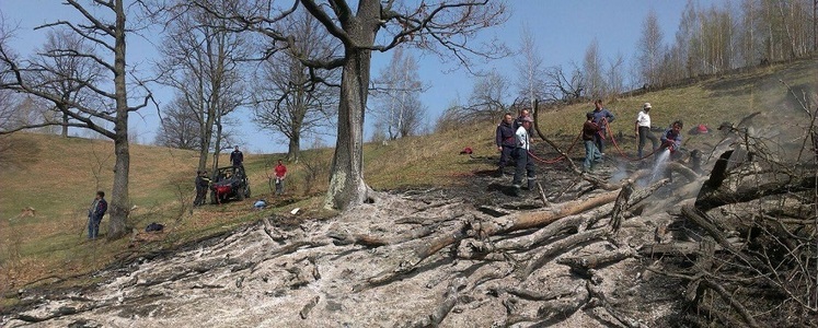 Nouă hectare de litieră şi buşteni uscaţi de pe un fond forestier din Bacău au ars în urma unui incendiu stins după 15 ore
