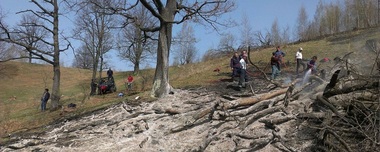 Nouă hectare de litieră şi buşteni uscaţi de pe un fond forestier din Bacău au ars în urma unui incendiu stins după 15 ore