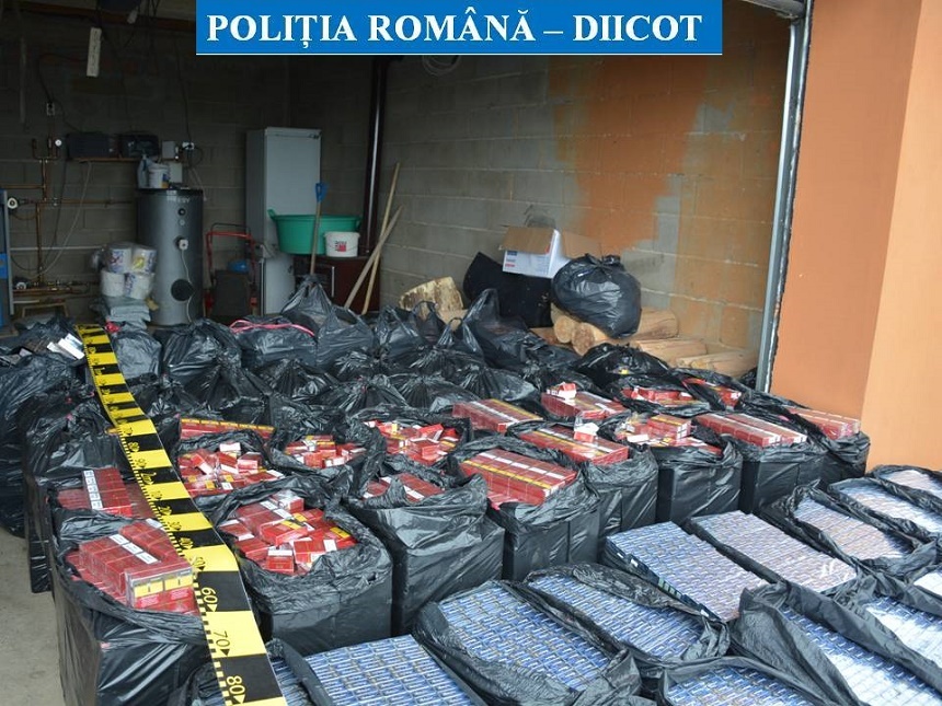 Trei persoane reţinute şi 56.000 de pachete de ţigări confiscate de DIICOT Suceava, după percheziţii în Timiş
