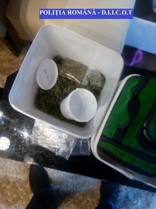 Zeci de percheziţii în Mureş şi Cluj, la presupuşi traficanţi de droguri; poliţiştii au ridicat cannabis, ecstasy şi cocaină