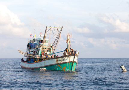 Pescador din Turcia, prins la braconaj în Marea Neagră; la bord s-au găsit peste 230 de kilograme de calcan