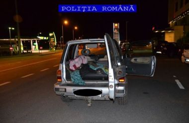 Braşov: Doi bărbaţi au fost reţinuţi după ce au fost prinşi transportând cu o maşină un urs împuşcat