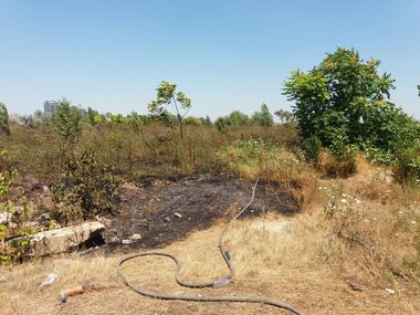 Incendiu în Parcul Natural Văcăreşti unde arde vegetaţie uscată pe o suprafaţă de 3.000 de metri pătraţi