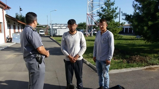 Timiş: Doi afgani, prinşi când încercau să treacă ilegal din România în Ungaria pe la frontiera verde