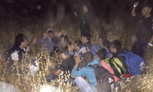 Timiş: Cincisprezece migranţi prinşi în timp ce încercau să intre ilegal în ţară din Serbia - FOTO