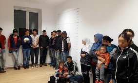 Timiş: 24 de sirieni, prinşi când încercau să treacă ilegal frontiera spre Ungaria; călăuzele lor sârbe făceau parte dintr-o reţea 
