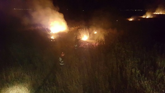 Constanţa: Sute de hectare de vegetaţie din Rezervaţia Biosferei Delta Dunării au ars într-un incendiu. Focul a fost stins după 15 ore. VIDEO