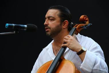 Violoncelistul Adrian Naidin, dus la Spitalul Elias după ce a căzut de la etajul vilei în care locuieşte, în timpul unor percheziţii privind o cultură de canabis 