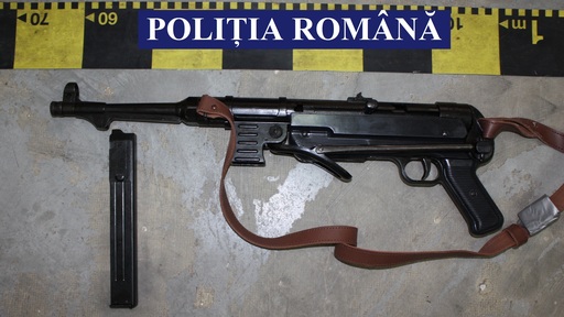 Timiş: Bărbat cercetat după ce a primit un colet din SUA care conţinea două arme cu aer comprimat şi 6.000 de alice