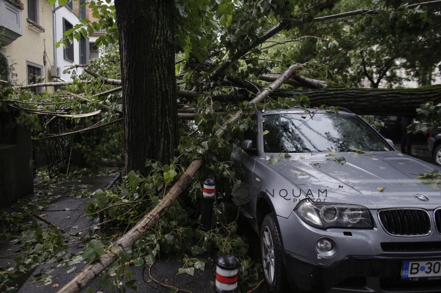 Copaci căzuţi pe străzi şi maşini, stâlpi de electricitate rupţi sau în pericol să cadă în Capitală şi Ilfov, din cauza vântului. Pompierii au intervenit în două ore la aproape 40 de cazuri
