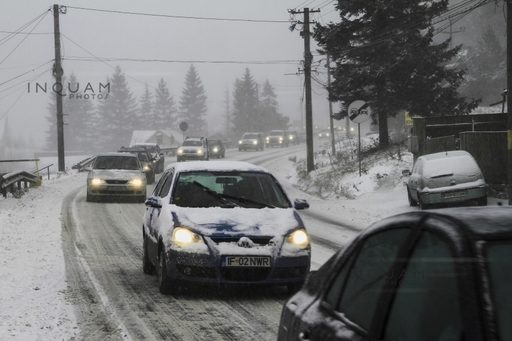 Echipaje ISU au intervenit în mai multe rânduri pe DN1, pe Valea Prahovei, pentru îndepărtarea unor copaci doborâţi de vânt