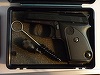 Un bărbat care a mers la DNA Ploieşti ca să depună o reclamaţie a intrat în instituţie cu un pistol şi trei cuţite. Bătrânul suferă de boli psihice