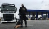 Timiş: Şase sirieni, prinşi când încercau să intre ilegal în ţară; persoanele, cu vârste între 19 şi 75 de ani, sunt rude
