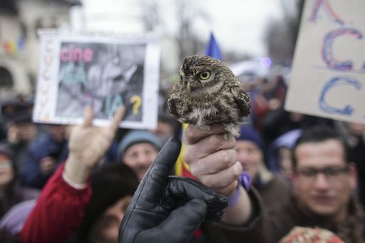 Protestul din faţa Palatului Cotroceni s-a încheiat după mai bine de cinci ore - FOTO