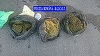 Bărbatul din Arad care a încercat să vândă cannabis unui ofiţer sub acoperire, arestat preventiv