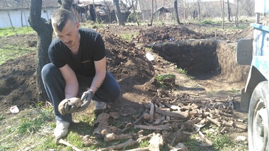 Oase umane găsite în curtea unei case din judeţul Arad în timpul unor săpături; Poliţia face cercetări - FOTO

