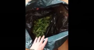 Galaţi: Un bărbat prins în flagrant când voia să vândă peste 1.600 de grame de canabis a fost arestat preventiv