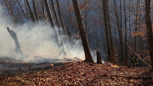 Zeci de pompieri şi voluntari, precum şi un elicopter, intervin pentru stingerea unui incendiu izbucnit la marginea unei păduri, în Munţii Apuseni
