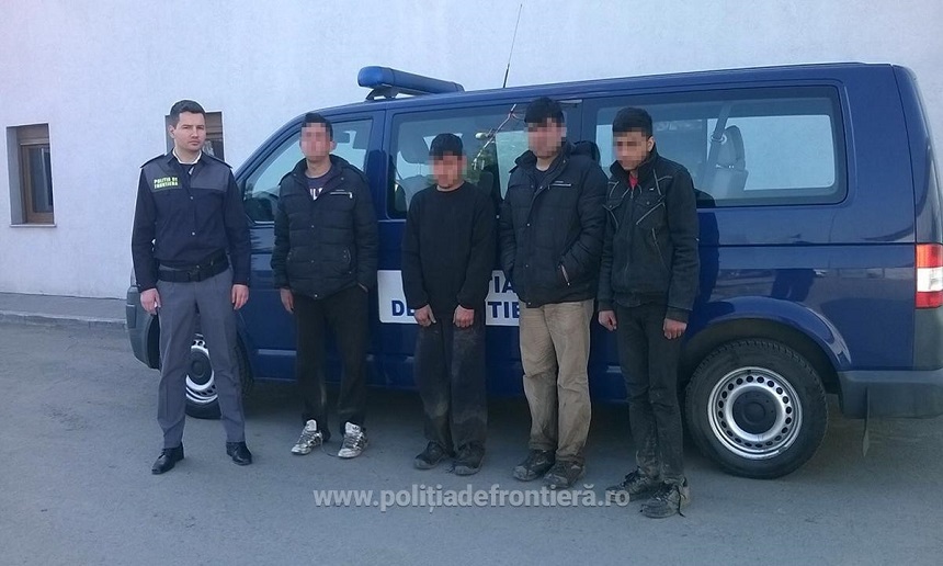 Timiş: Patru pakistanezi, prinşi când încercau să intre ilegal din Serbia în România