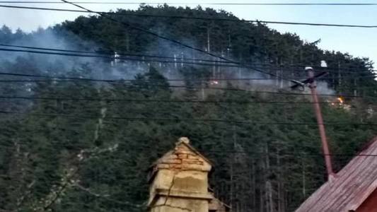 Braşov: Incendiu de vegetaţie pe Muntele Tâmpa, zeci de pompieri intervin - FOTO