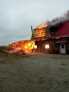Constanţa: Incendiul de la hala de materiale de construcţii, stins după o intervenţie de aproximativ opt ore