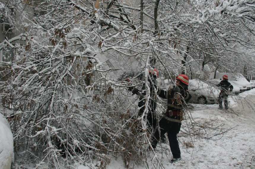 Pompierii vrânceni intervin în Focşani, unde mai mulţi copaci au căzut pe maşini din cauza vântului şi a zăpezii. Mii de persoane, fără electricitate