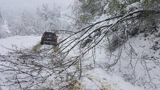Peste 20 de intervenţii ale pompierilor vrânceni până acum pentru înlăturarea copacilor doborâţi de vânt de pe maşini sau de pe străzi - FOTO
