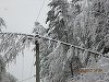 Peste 90 de localităţi din zona centrală şi de nord a Moldovei, fără curent. Toate comunele din judeţul Vaslui, afectate de întreruperea energiei electrice
