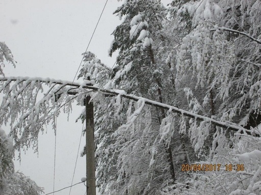 Peste 90 de localităţi din zona centrală şi de nord a Moldovei, fără curent. Toate comunele din judeţul Vaslui, afectate de întreruperea energiei electrice