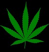 Cheloo a încheiat acord de recunoaştere a vinovăţiei în dosarul în care este cercetat pentru trafic de droguri. Artistul a spus că a oferit cannabis prietenilor, dar nu a vândut droguri