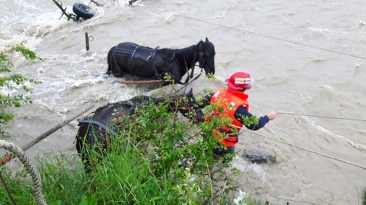 Prahova: Doi bărbaţi rămaşi blocaţi cu două căruţe în râul Doftana au reuşit să se salveze, iar pompierii au scos animalele - FOTO/VIDEO