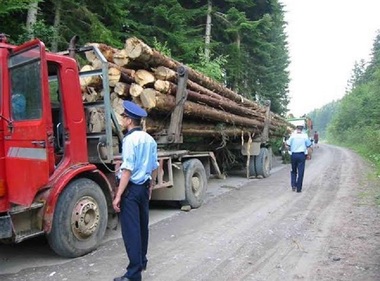Camion cu arbori nemarcati transportaţi pentru Holzindustrie Schweighofer, depistat de jandarmi în Prahova. Holzindustrie Schweighofer: Buştenii au provenienţă legală, doar marcajele nu erau vizibile corespunzător - VIDEO. UPDATE