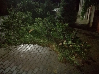 Arad: Mai mulţi copaci au fost rupţi în timpul unei furtuni, căzând pe drumuri şi autoturisme - FOTO