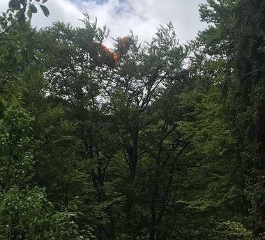 Turist francez, rămas agăţat cu parapanta în copaci, în apropiere de Sinaia. El a fost dat jos de către pompieri