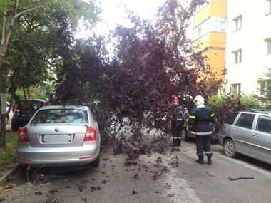 IGSU: Inundaţii în mai multe judeţe. În Capitală, 28 de copaci au căzut în timpul furtunii, avariind patru maşini
