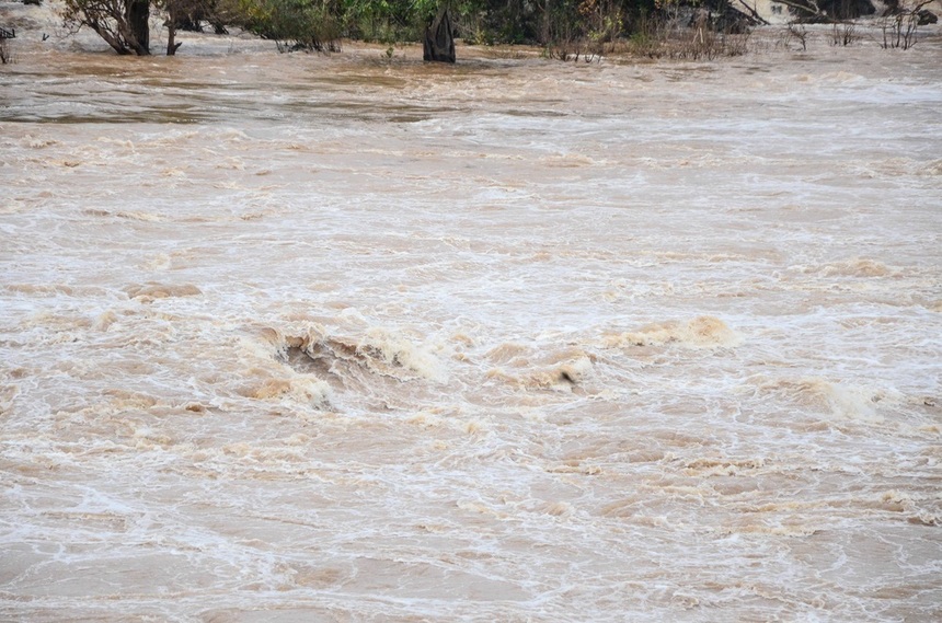 Tulcea: Peste 500 de hectare de teren agricol şi cinci kilometri de drumuri comunale, inundate în urma unei viituri