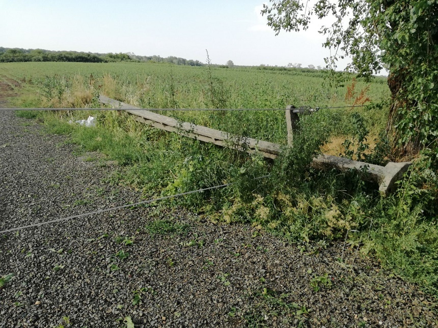 Arad: Zece persoane rănite, case fără acoperişuri, copaci rupţi şi maşini răsturnate, în urma unei furtuni - FOTO