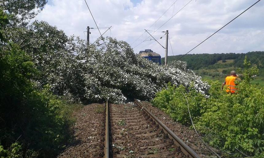 Circulaţie feroviară blocată în mai multe staţii din judeţul Mureş, din cauza unor copaci care au căzut pe calea ferată