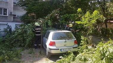 Timiş: 125 de acoperişuri de case distruse, zeci de copaci căzuţi şi un incendiu la un transformator, în urma unei furtuni