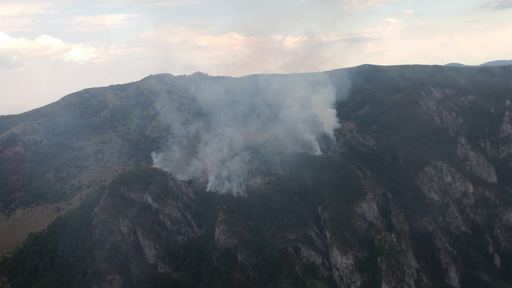 Pompierii mehedinţeni s-au retras din Parcul Naţional Domogled după lăsarea nopţii, deşi incendiul nu a fost încă stins