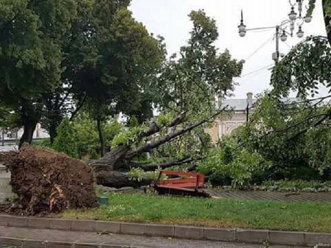 Peste 500 de copaci au fost doborâţi la pământ de vântul puternic, iar 21 de autoturisme au fost avariate în timpul vijeliei din judeţul Brăila - FOTO