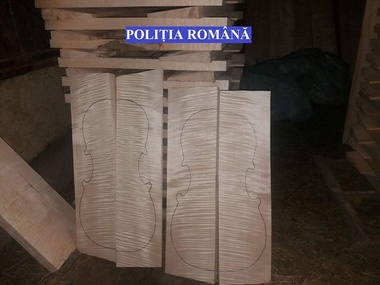 Mureş: Cherestea dintr-o specie rară de paltin, folosită la fabricarea instrumentelor muzicale, confiscată de poliţişti - FOTO