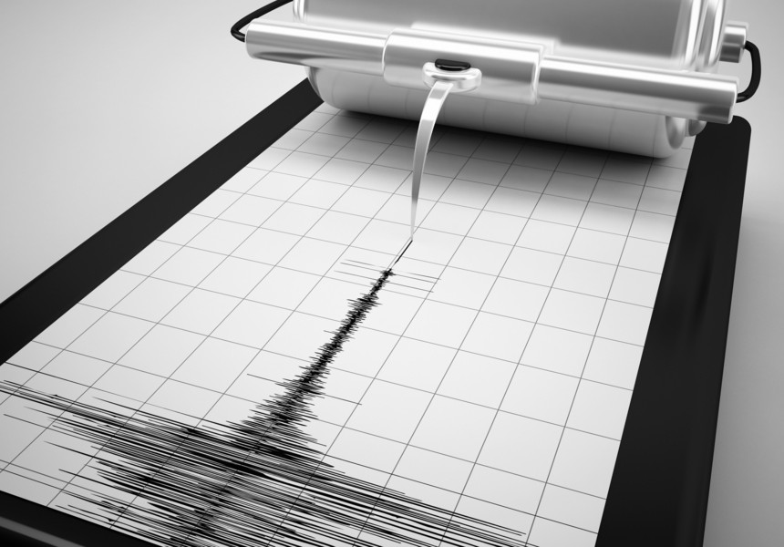 UPDATE - Cutremur cu magnitudinea de 4,9, în judeţul Buzău