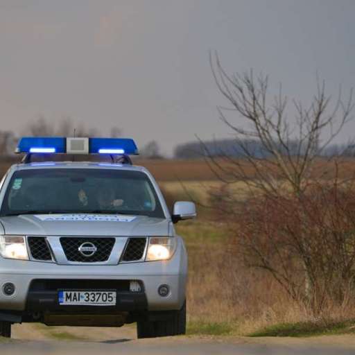 Timiş: Cetăţean sârb, arestat preventiv pentru călăuzirea a 21 de migranţi care au încercat să intre ilegal în România