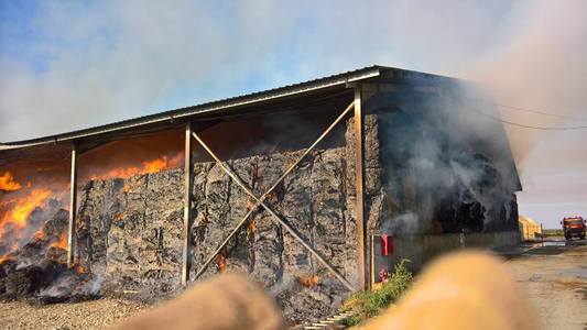 Incendiu la o fermă din judeţul Timiş, existând pericol de extindere la două grajduri şi o staţie de biogaz - FOTO