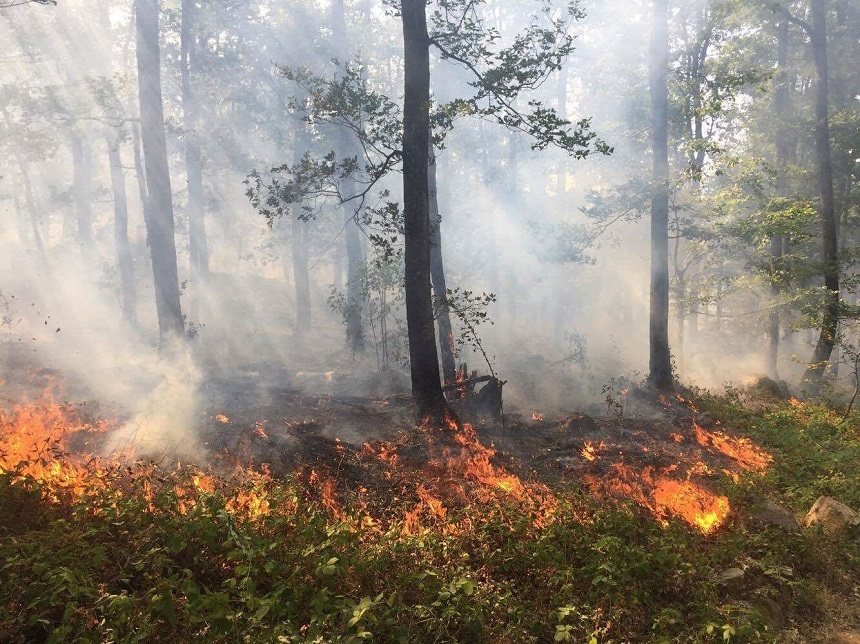 Incendiul izbucnit în Mehedinţi a cuprins trei hectare de litieră şi coronament, într-o pădure de foioase